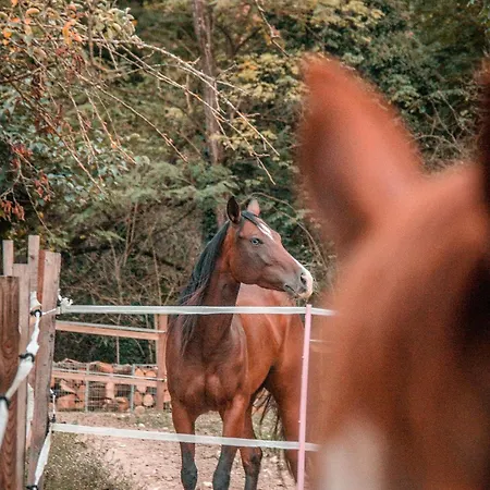 Casa Parco Trebbia, 15 Min Grazzanobobbio, 1h Mi Διαμέρισμα *