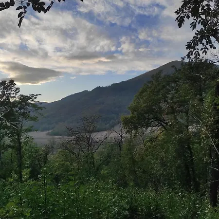 Fuga Nel Parco Trebbia, Vicino Grazzano/bobbio *