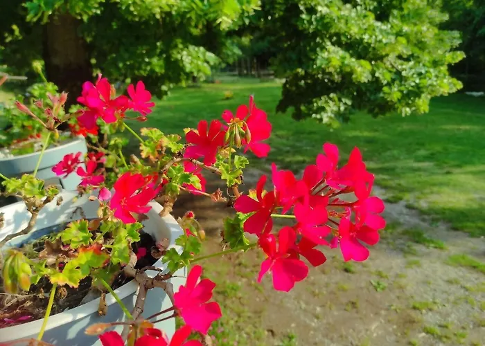 Lejlighed Casa Parco Trebbia, 15 Min Grazzano/bobbio, 1h Mi